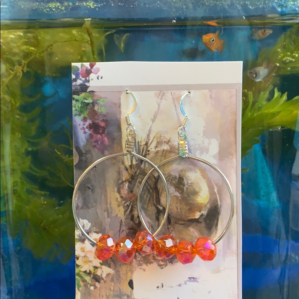 Hoops of Fish